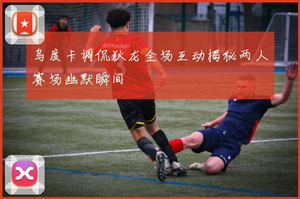 乌度卡调侃狄龙全场互动揭秘两人赛场幽默瞬间