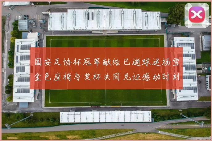 国安足协杯冠军献给已逝球迷杨雪金色座椅与奖杯共同见证感动时刻